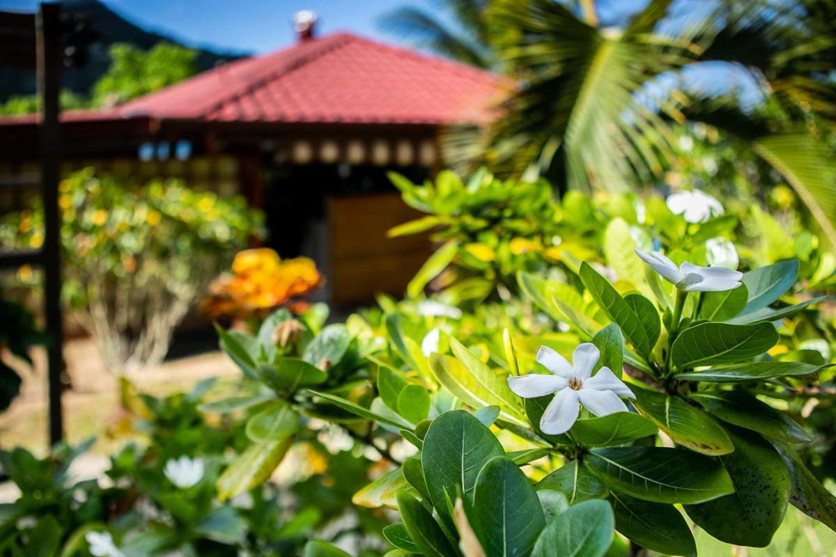 Raiatea Sur Mer Opoa Exteriör bild