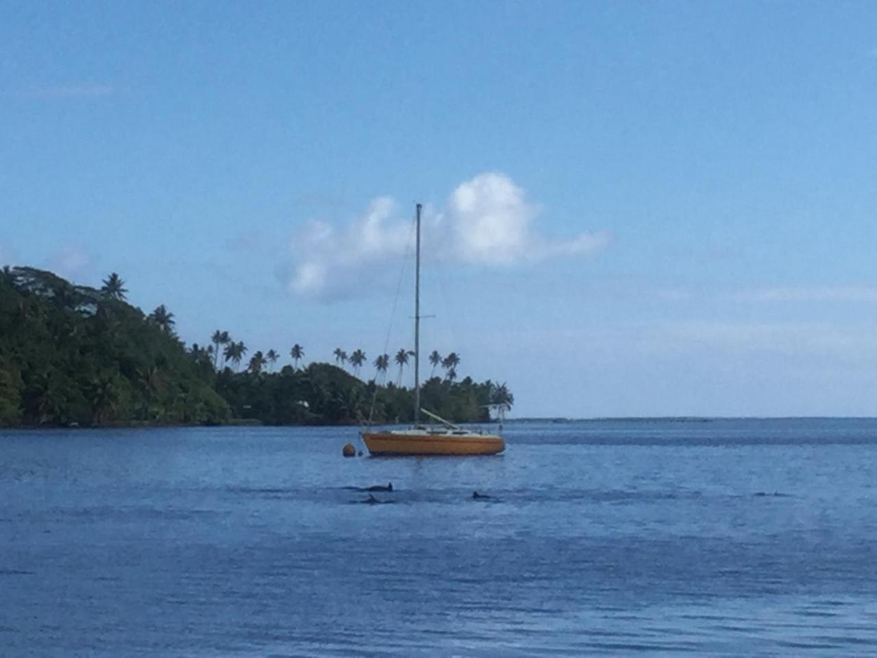 Raiatea Sur Mer Opoa Exteriör bild